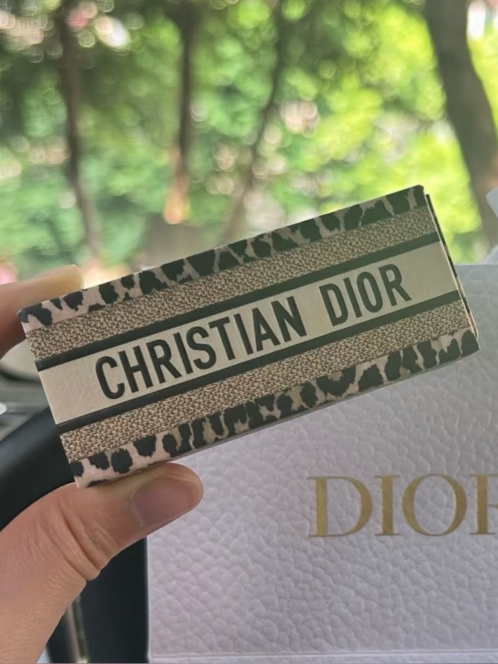 Dior Leopard Print Lipstick Case /Holder